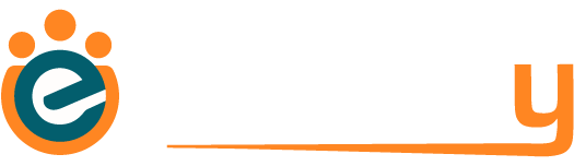 Company name